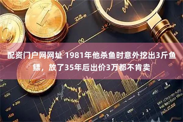 配资门户网网址 1981年他杀鱼时意外挖出3斤鱼鳔，放了35年后出价3万都不肯卖